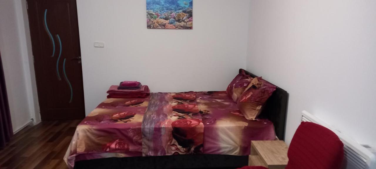 Strada Banu Mihalcea Nr. 150 Villa Köstence Dış mekan fotoğraf